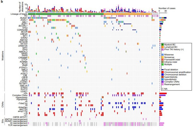 clonal evolution studies